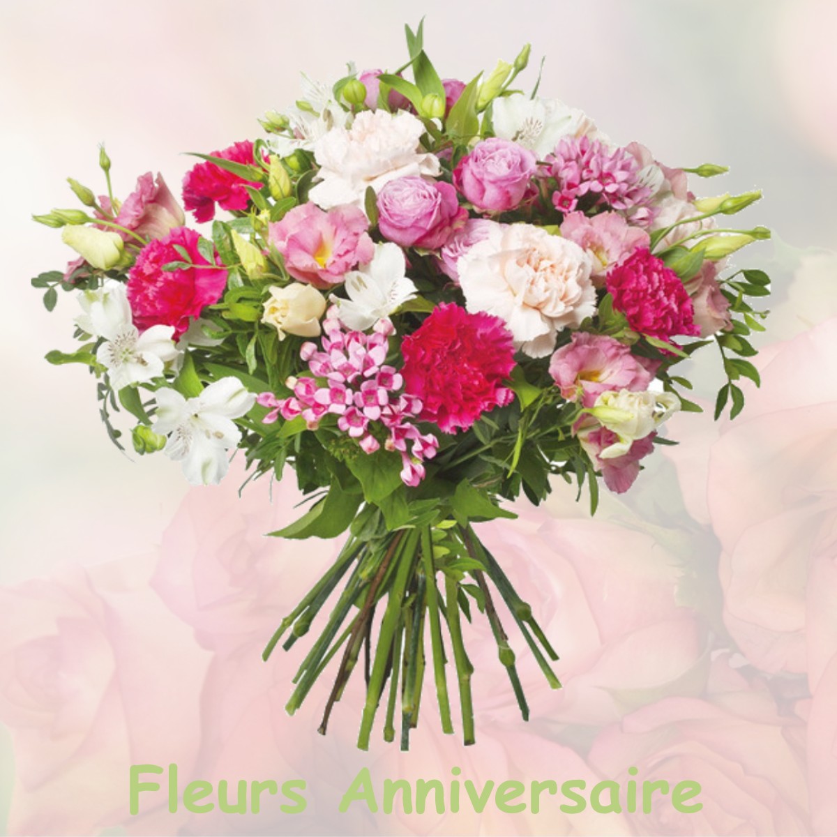 fleurs anniversaire GARANCIERES-EN-DROUAIS